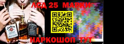 бошки Гатчина