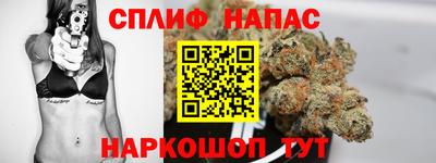 бошки Гатчина