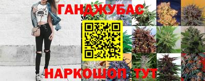 бошки Гатчина