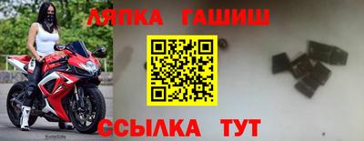 бошки Гатчина