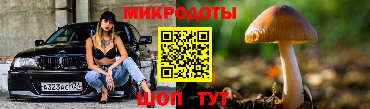 Псилоцибиновые грибы ЛСД  Вход с VPN  Псилоцибиновые грибы Cubensis  Грозный 